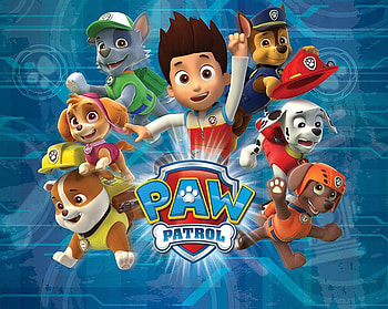 Paw Patrol - , Paw Patrol Background on Bat, Rocky Paw Patrol HD wallpaper