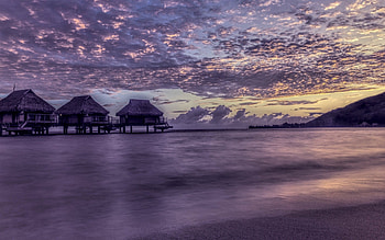 Sunset, sea, summer, purple, sky, water, cloud HD wallpaper