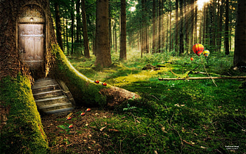 Enchanted Forest, sunshine, fairytale, house, forests, beautiful, fantasy, door, abstract, animals, green, trees, enchanted, nature HD wallpaper