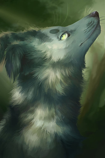 Art, Grey, Wolf, Sight, Opinion, Animal HD phone wallpaper