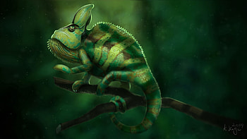 Art, Branch, Lizard, Chameleon HD wallpaper