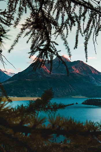 Nature, Mountains, Lake, Branches, Switzerland HD phone wallpaper