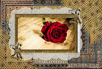 RED ROSE, FLOWERS, ROSE, , RED HD wallpaper