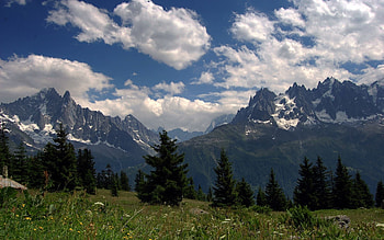 Nature, Trees, Sky, Clouds, Summer, Freshness, Slope, Herbs, Herbage, Ate, Mountain Air HD wallpaper