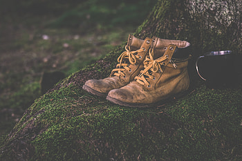 Miscellanea, Miscellaneous, Moss, Boots, Shoes, Footwear HD wallpaper