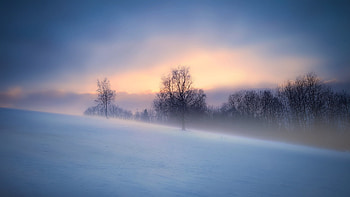 Winter, fog, landscape, nature HD wallpaper