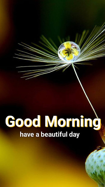 Good Morning, Beautiful Day HD phone wallpaper
