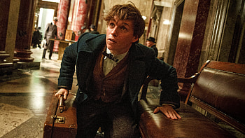 David Yates, Fantastic Beasts, J.K. Rowling, Eddie Redmayne HD wallpaper