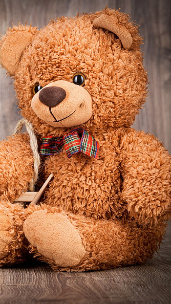 Teddy Bear, cute bun HD phone wallpaper