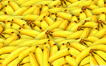 Banana beauty, Vibrant colors, Exotic fruit, Tropical delight HD wallpaper