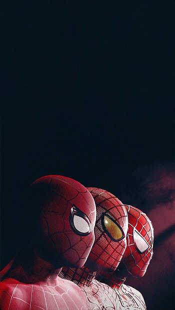 Spiderman, tobey-maguire, tom-holland, tom, Garfield, maguire, holland, tobey, andrew, andrew-garfield HD phone wallpaper