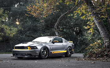 Ford Mustang Custom, ford-mustang, cars HD wallpaper