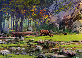 Animal, bear HD wallpaper