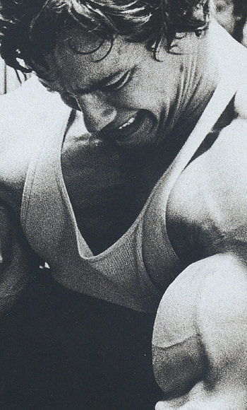 Arnold Schwarzenegger, Impressively toned arms, Captivating , Striking backgrounds HD phone wallpaper