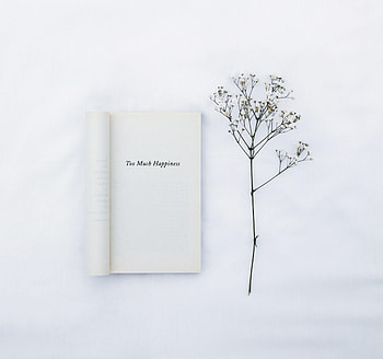 Flower, Words, Minimalism, Inscription, Book HD wallpaper