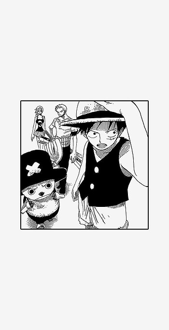 Luffy, Anime, Zoro, Nami, One Piece, Chopper, Manga HD phone wallpaper