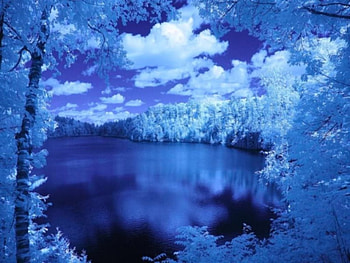 Blue Night Lake, night, blue, white, lake, reflection, abstract, clouds, trees, nature, sky, water, forest HD wallpaper