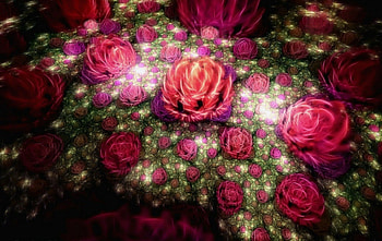 Pink roses, rose, pink, abstract, art, bud, flower, green, fractal HD wallpaper