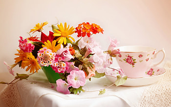 Plants, Flowers, Bouquets HD wallpaper