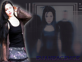 amy lee, gothic, sexy, cute, goth, beauty, band, rock, music, women, female HD wallpaper