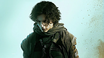Timothee Chalamet, , Celebs HD wallpaper
