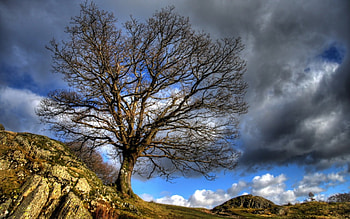 lone tree on a rocky hill, clouds, rocks, hill, tree HD wallpaper
