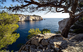 Coast of France, France, sea, tree, coast HD wallpaper