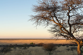 Botswana unsere pfade, Untouched nature, Scenic beauty, Unexplored trails HD wallpaper