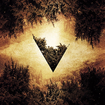 Trees, Shine, Light, Miscellanea, Miscellaneous, Forest, Illusion, Triangle HD phone wallpaper