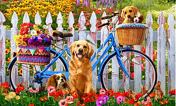 Peddle Pups, sweet, vibrant, Dogs, cute, bicycle, Outdoors, fence, animals, Rabbits, flowers HD wallpaper