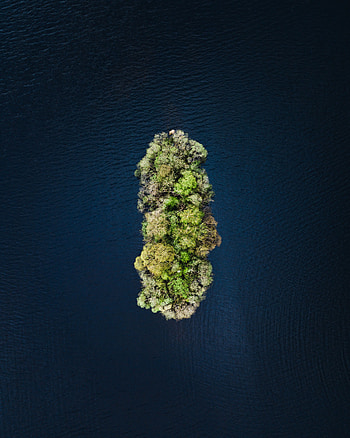 Nature, Water, Trees, View From Above, Top, Tops, Island HD phone wallpaper