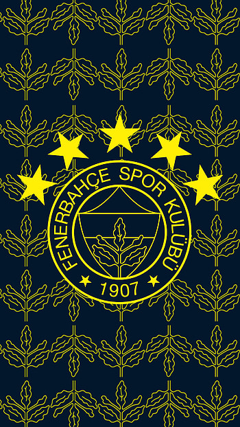 fenerbahçe 5 yıldız, fener, art, sports, spor, turkey, logo, turkiye, fenerbahce, sampiyon HD phone wallpaper