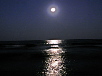 Moon Reflection, bulgaria, reflection, moon, black sea HD wallpaper
