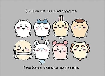 Adorable Chiikawa Anime, Anime, Chiikawa HD wallpaper
