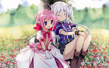 Dog Days, Computer , background, Anime HD wallpaper