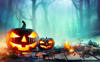 Halloween, halloween, celebrations, holidays, pumpkin HD wallpaper