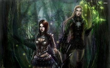 Elf Warriors In The Forest HD wallpaper