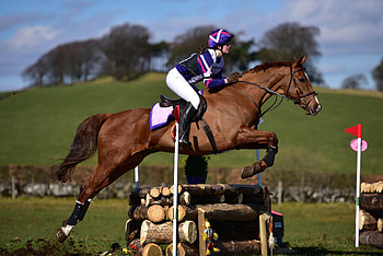 Eventing, Equestrian Sports HD wallpaper