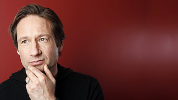 David Duchovny, Music fanart, Actor, Celebrity HD wallpaper