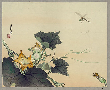 Dragonfly and Pumpkin by Gekko Ogata, woodblock, print, garden, japan HD wallpaper