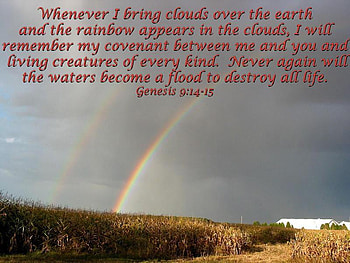 God's Promise, scripture, flood, rainbow, scenic, verse, christian HD wallpaper