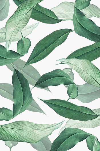 tropical leaves modern illustration printable Wall Art pc background for downland decor dec. Leaf background, How to draw hands, Tropical leaves, Tropical Plants Drawing HD phone wallpaper