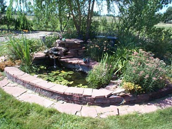 Small Koi Pond, trees, garden, koi fish pond, flowers HD wallpaper