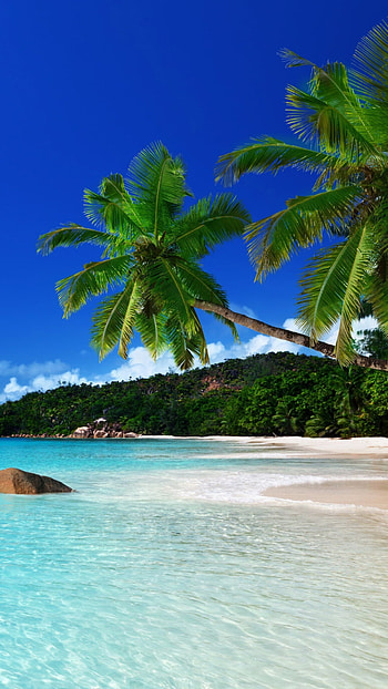 Orange Bay, Jamaica , Coastal town, Tropical charm HD phone wallpaper
