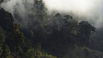Costa Rica in , Nature's paradise, Rich ecosystems, Pristine environment HD wallpaper