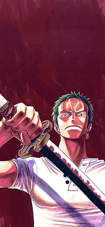 Roronoa Zoro One Piece Anime , Anime, One Piece, Roronoa Zoro HD phone wallpaper