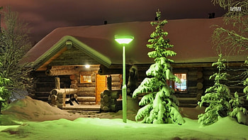 Green Lamp on snowy Trees, Lamp, Winter, Nature, Snow HD wallpaper