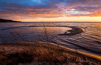 Nature, Rivers, Grass, Horizon, Branch HD wallpaper
