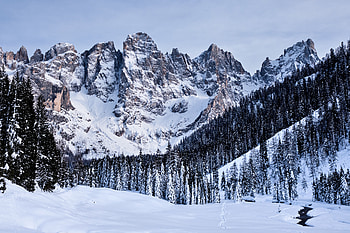 Winter, Nature, Trees, Mountains, Snow, Italy, Snow Covered, Snowbound HD wallpaper