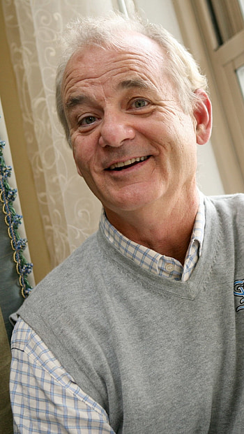 Bill Murray, Movies, Celebrity HD phone wallpaper
